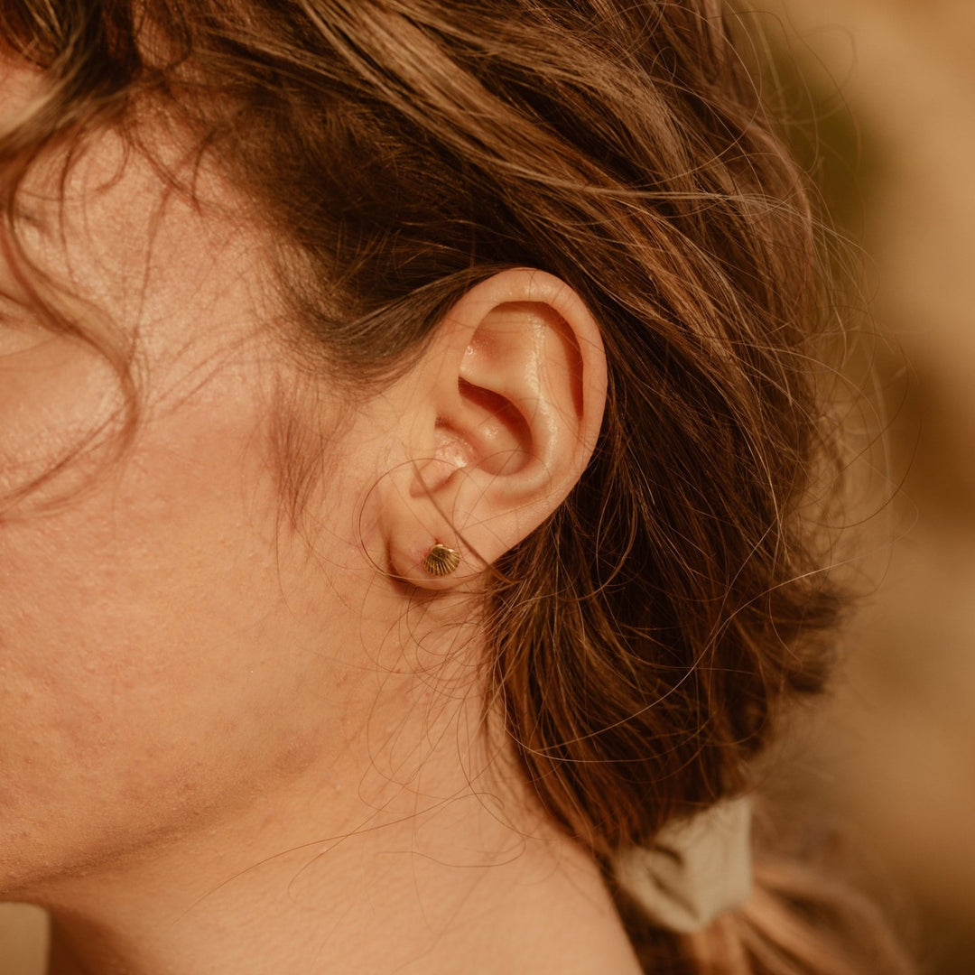 Mini Seashell Gold Stud Earrings- Quill Fine Jewelry